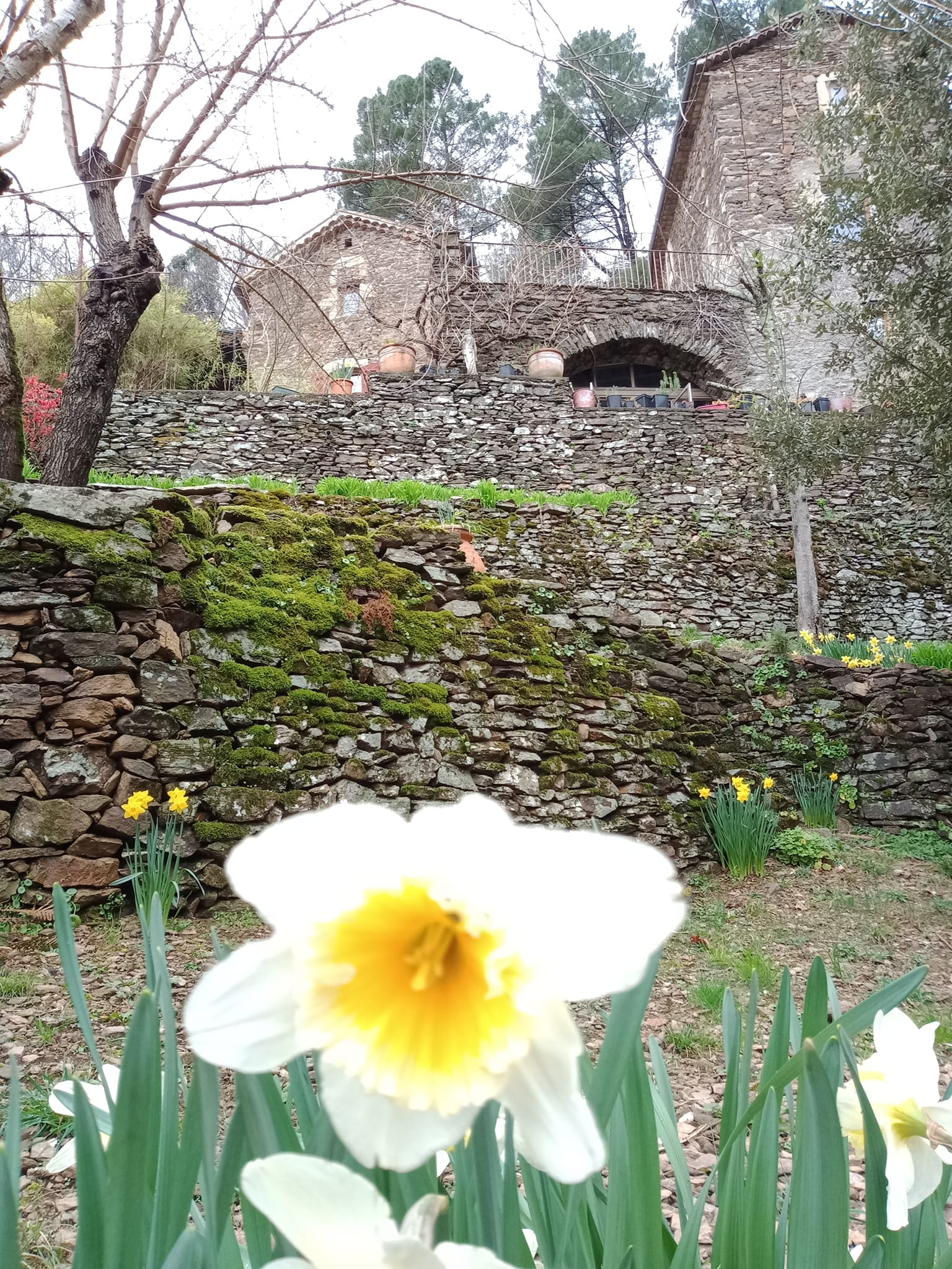 Tutta La Casa Chambon 69119