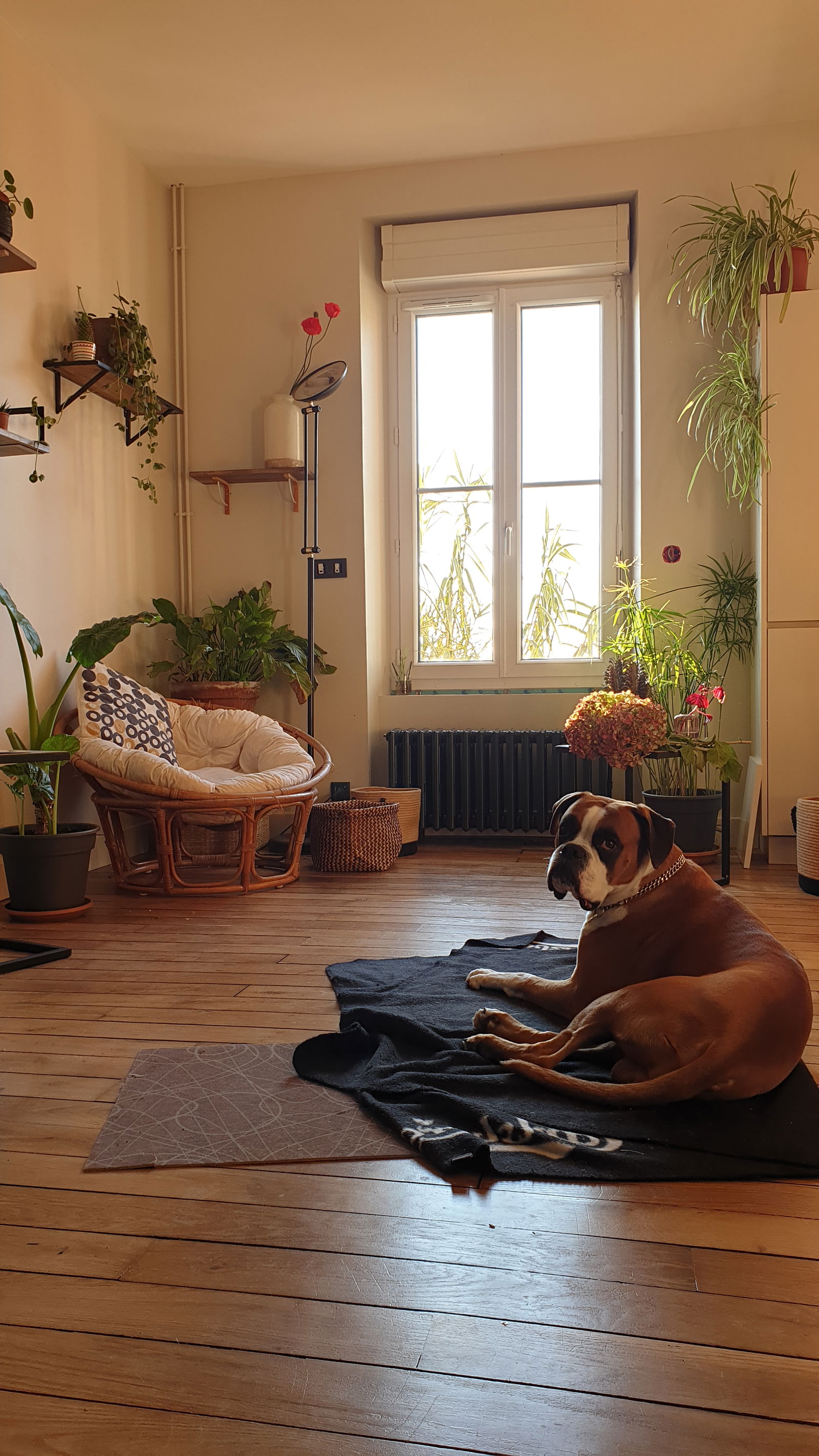 Collocazione Limoges 267330