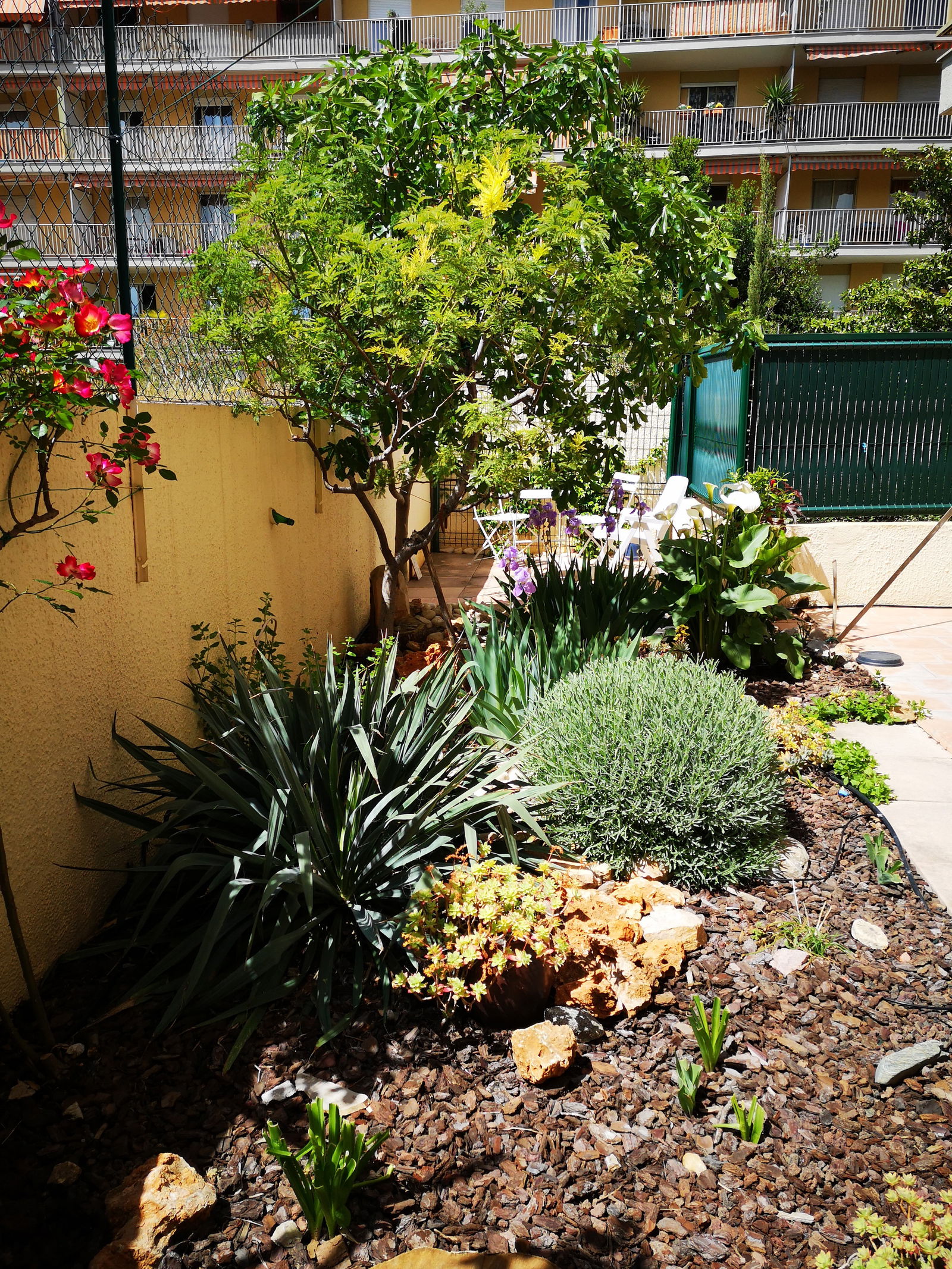 Tutta La Casa Draguignan 164255