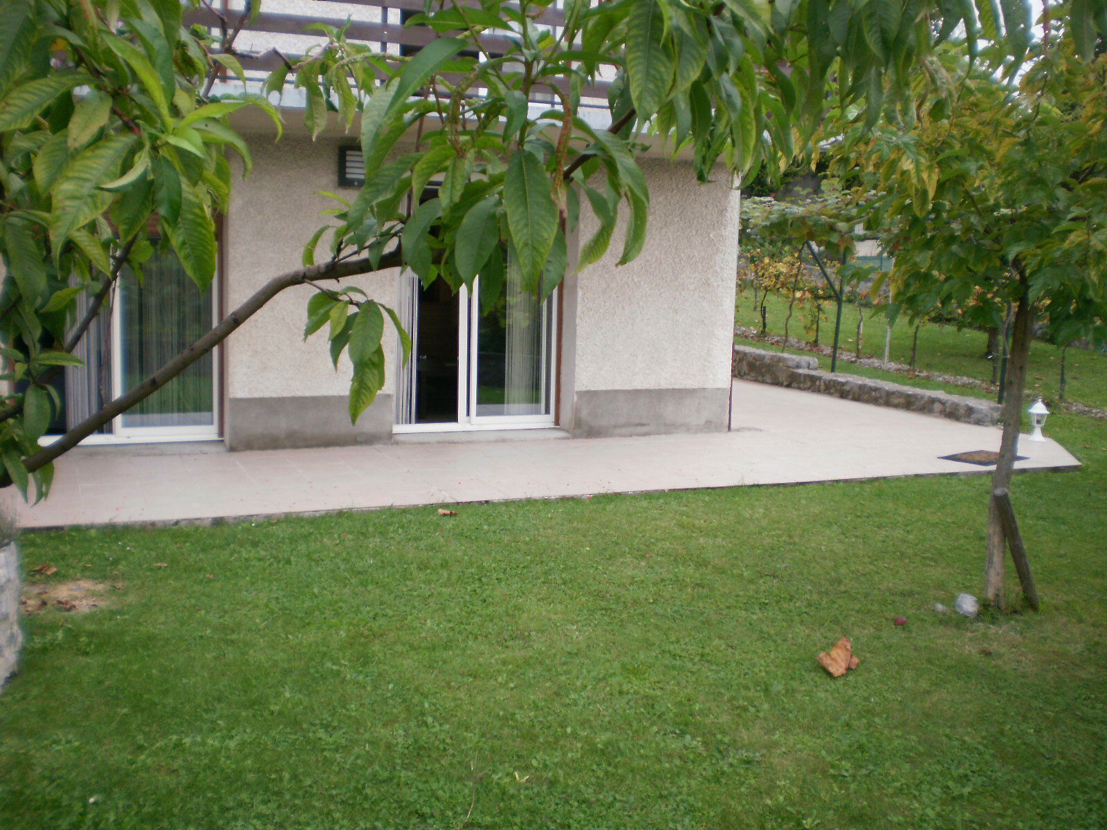 Famiglia Saint-Ismier 99161