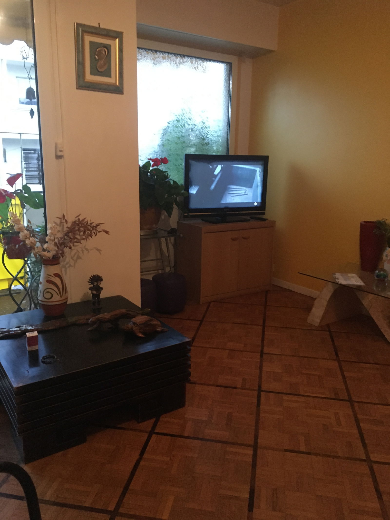 Famiglia Nice 239734