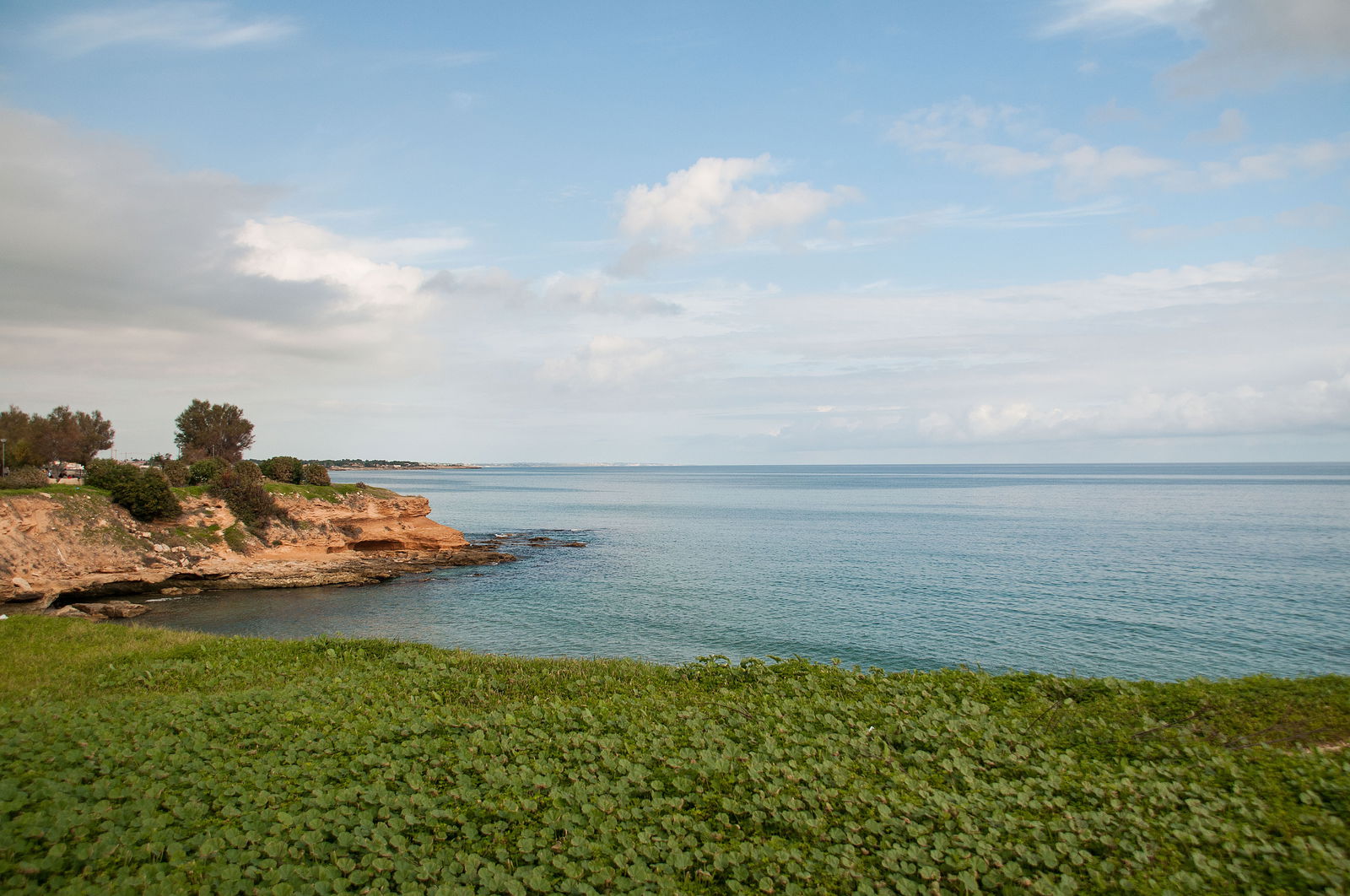 Tutta La Casa Avola 123728