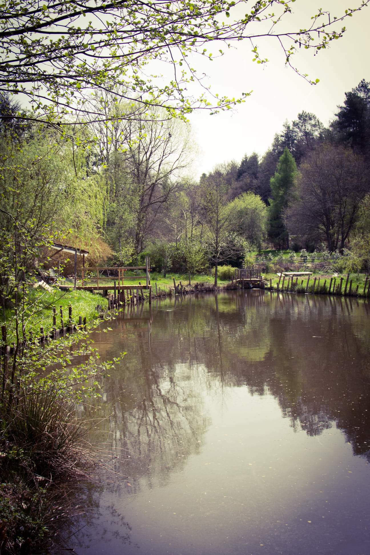 Famiglia Taintrux 82871