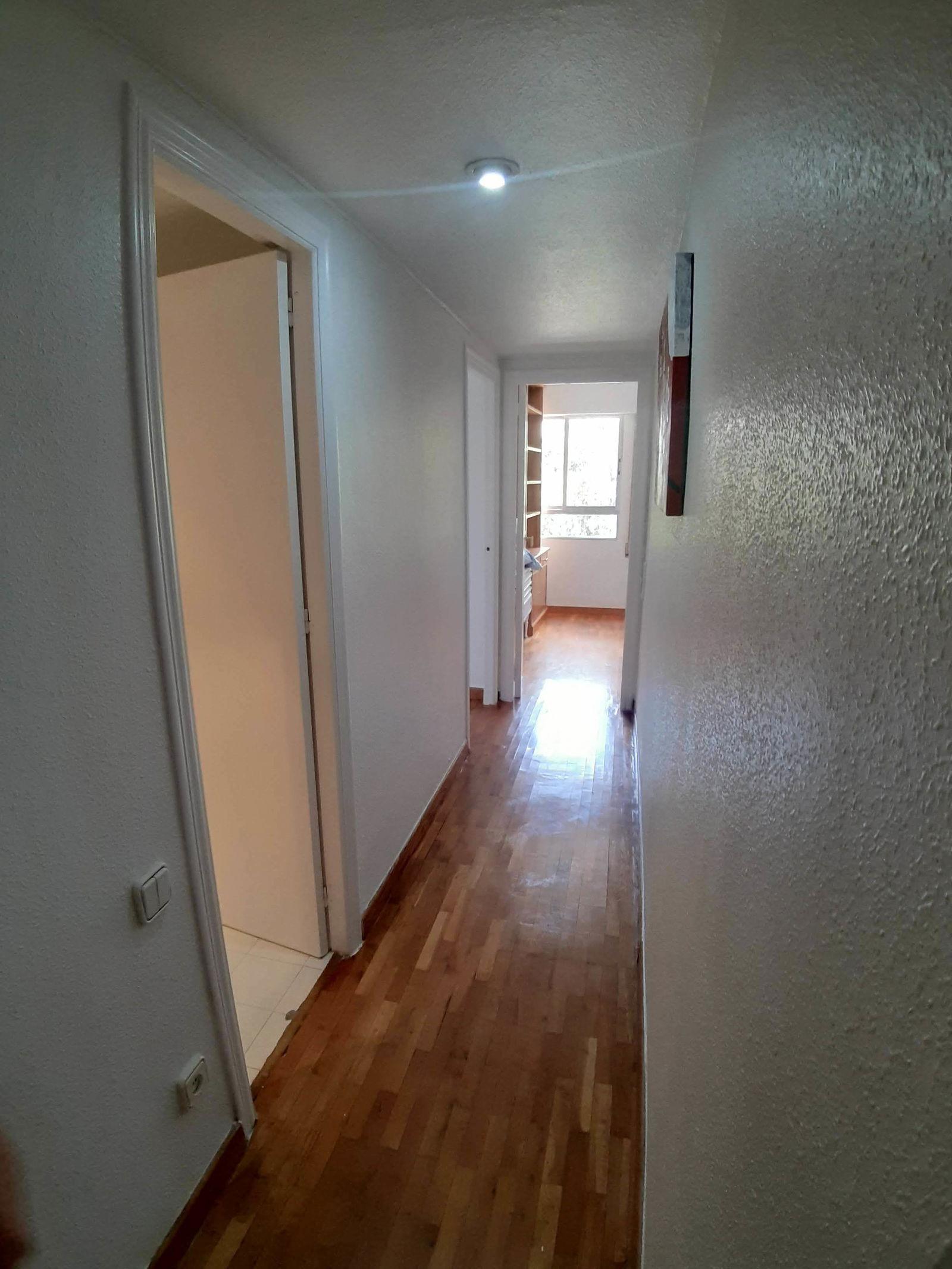 Famiglia Murcia 241478