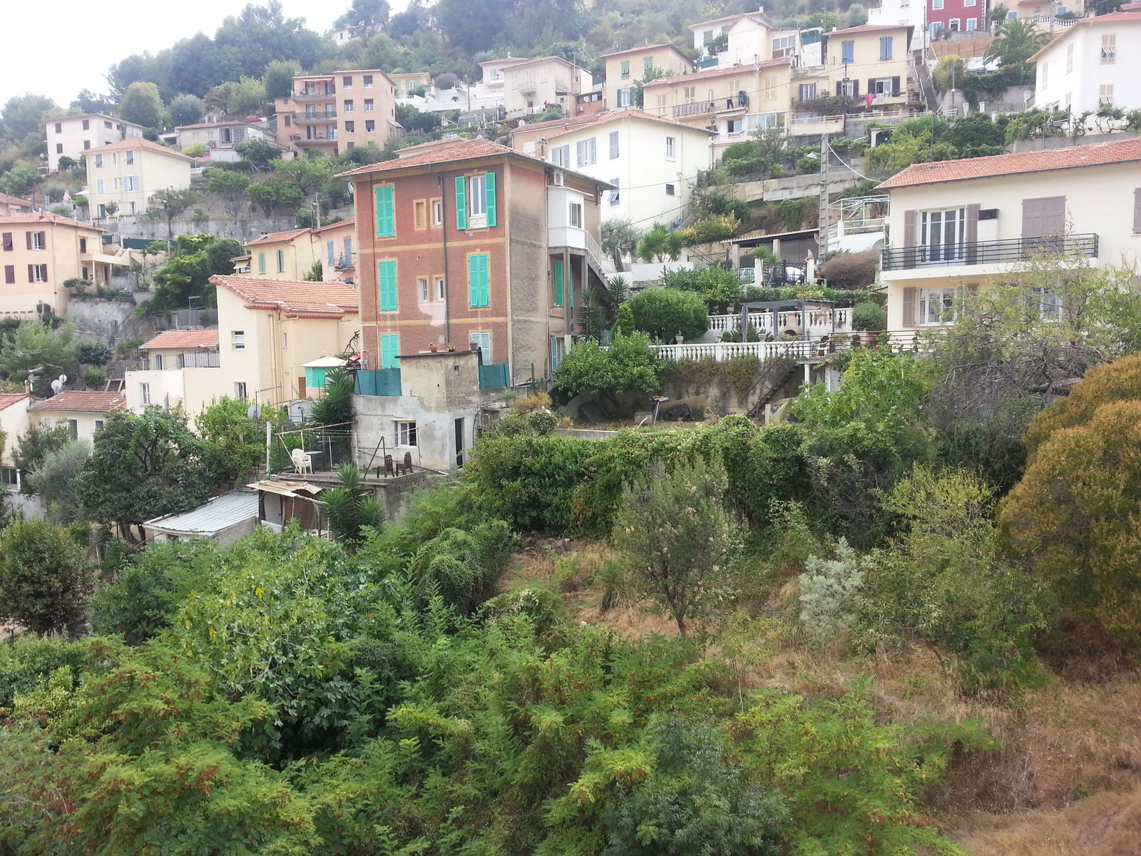 Famiglia Nice 184905