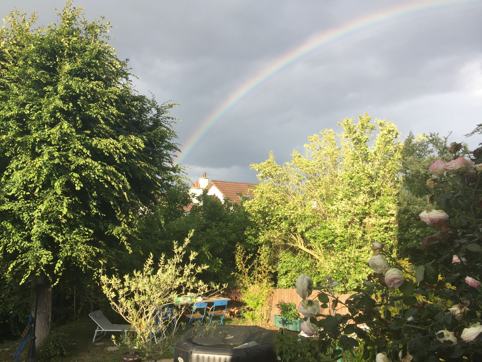 Famiglia Domont 252297