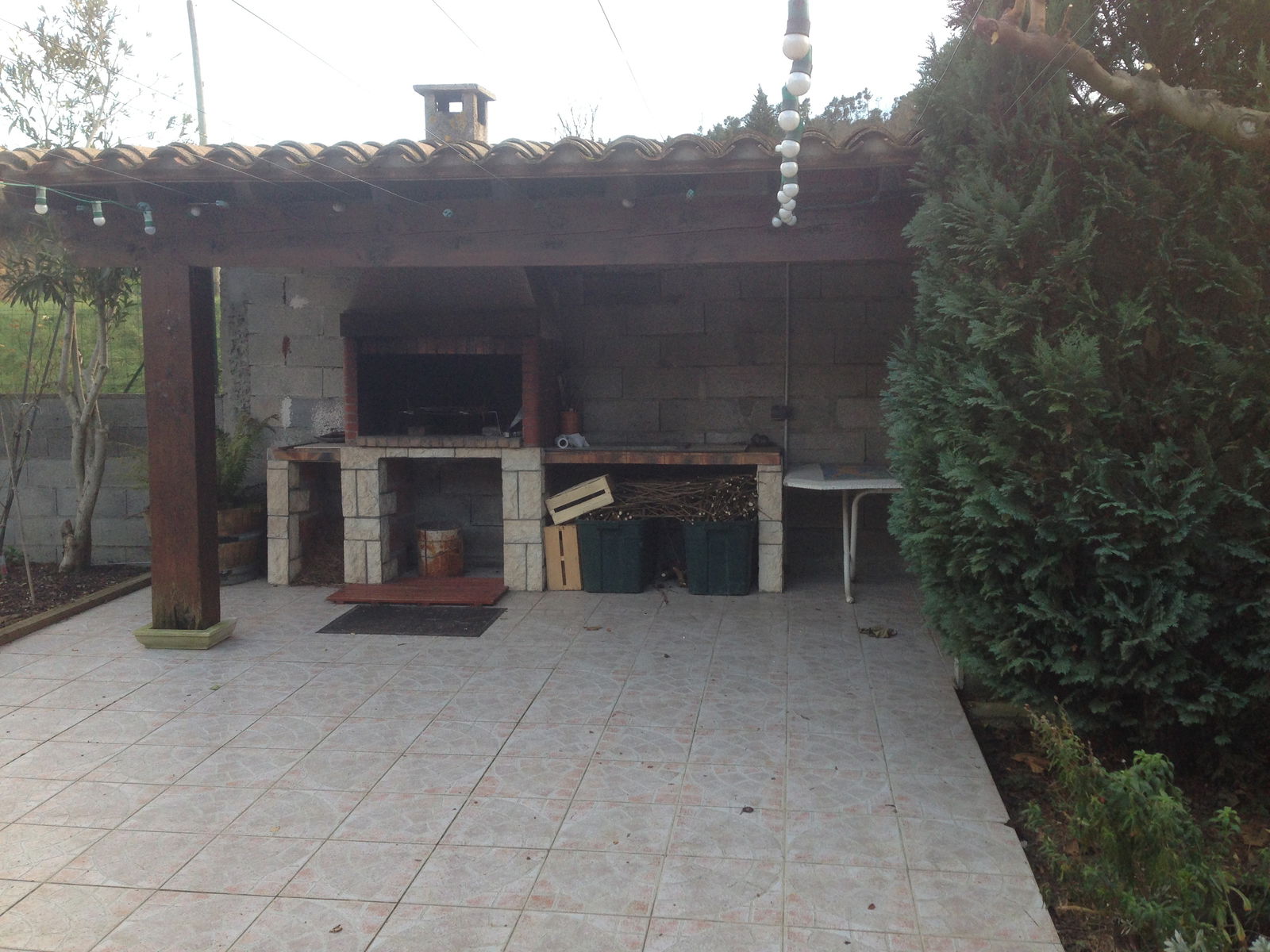 Famiglia Carcassonne 98014