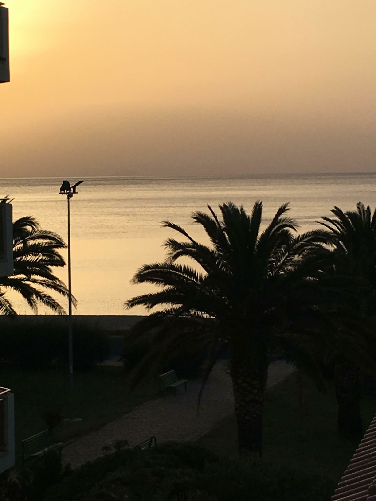 Estúdio Independente Tonnarella 205832