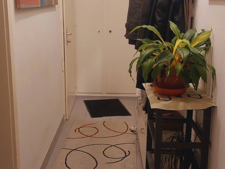 Entire Home Lausanne 448211-5