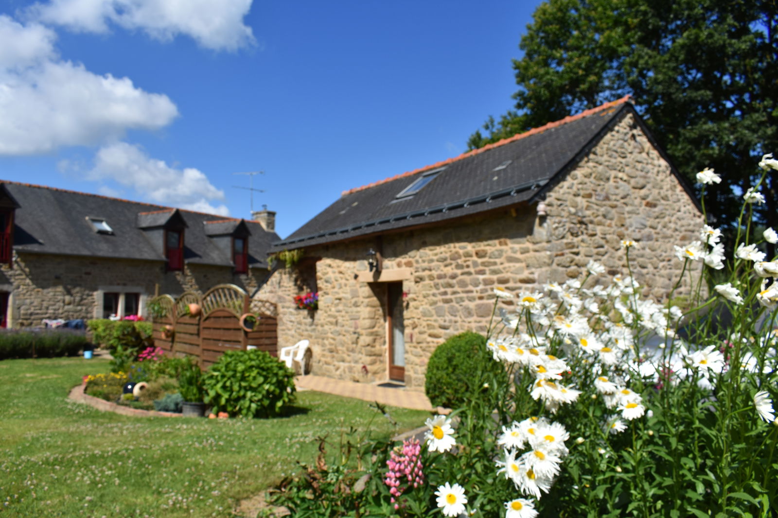 Tutta La Casa Ploumagoar 251537