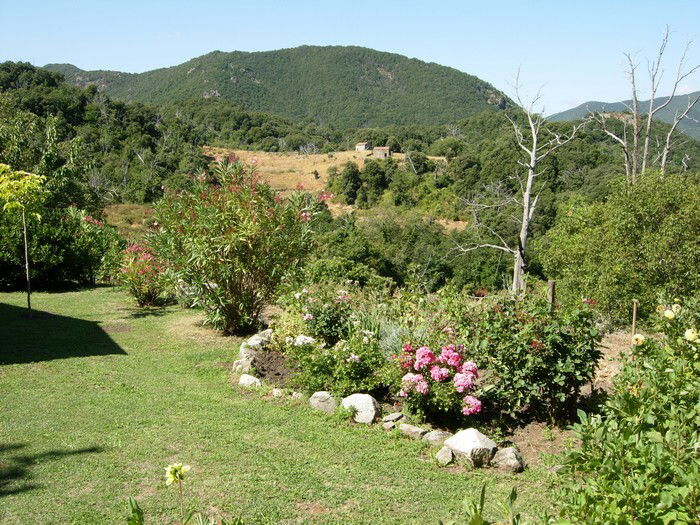 Tutta La Casa Zicavo 64031