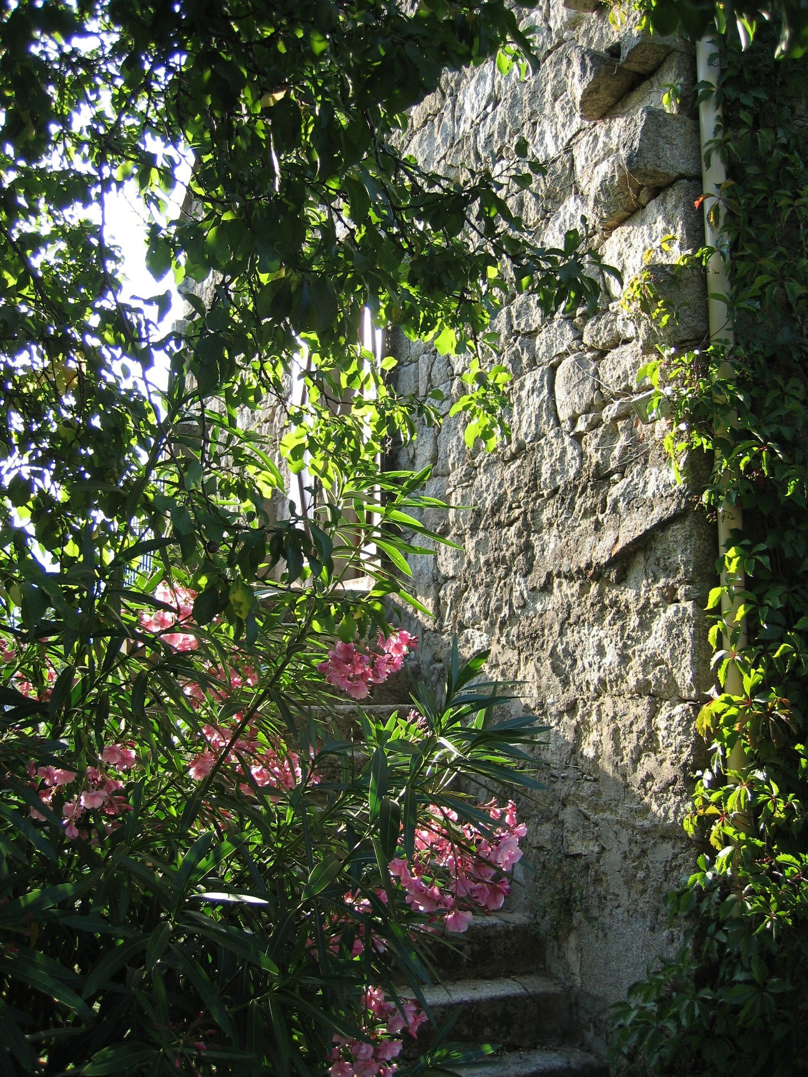 Tutta La Casa Zicavo 64031