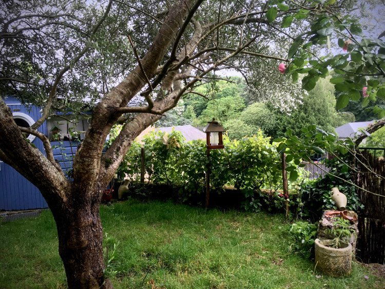 Collocazione Rochecorbon 264844