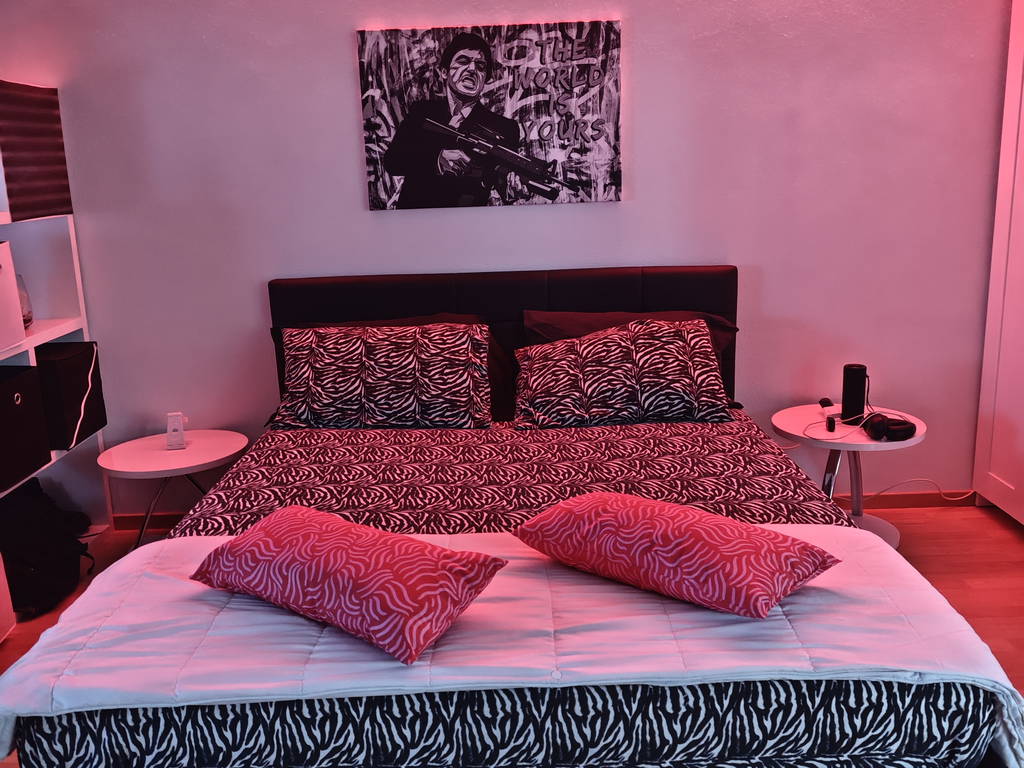 Logement Entier Rothrist 661833-1