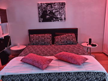 Logement Entier Rothrist 661833-1