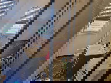 Wohngemeinschaft Milano 573713-9