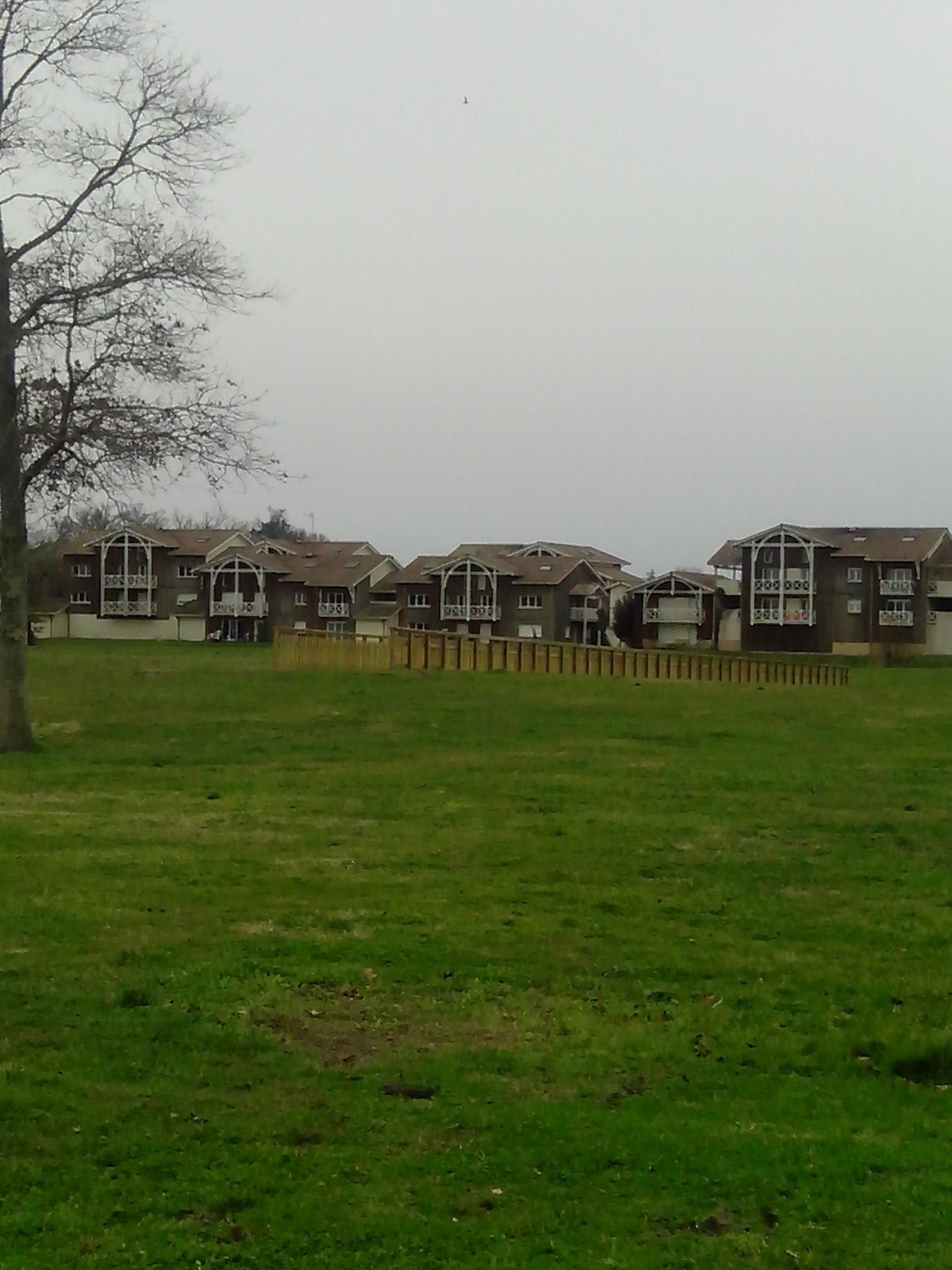 Famiglia Le Teich 162385