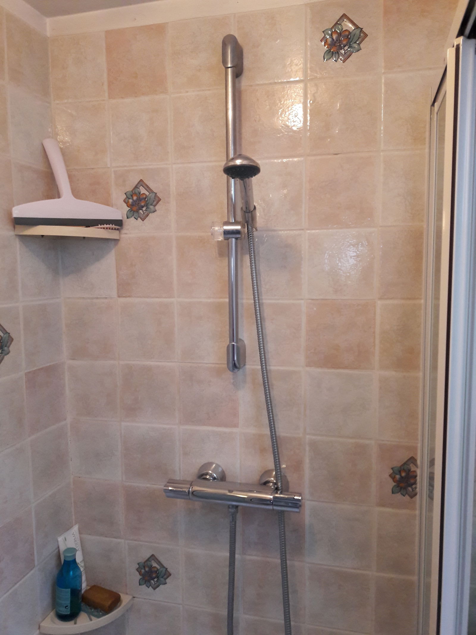 Famiglia Thorigny-sur-Marne 207447