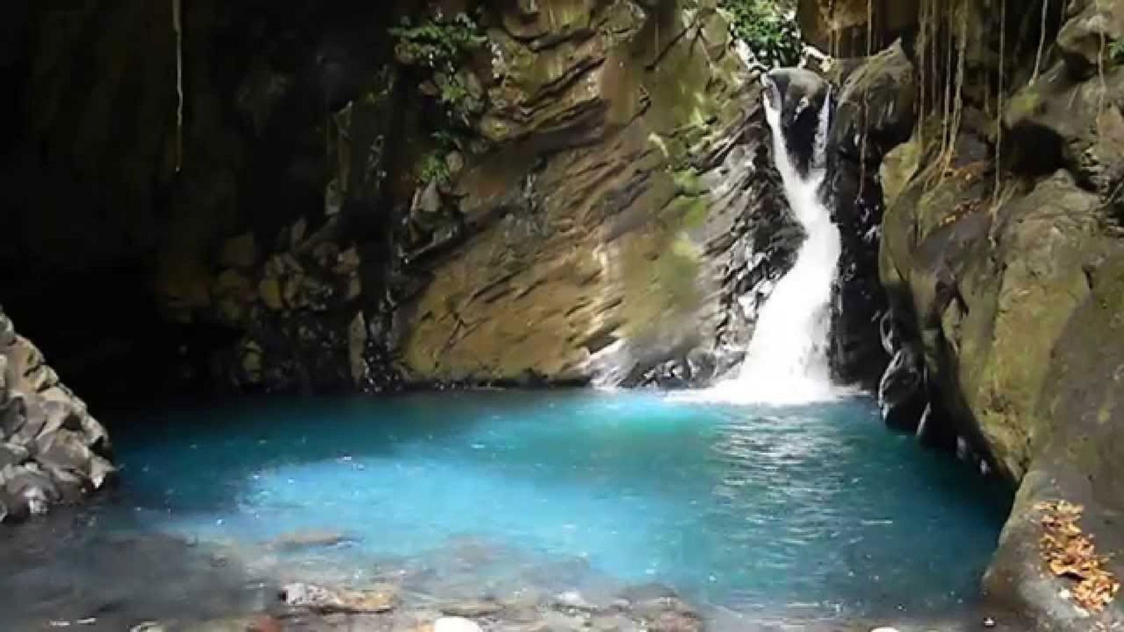 Famiglia Bouillante 132944