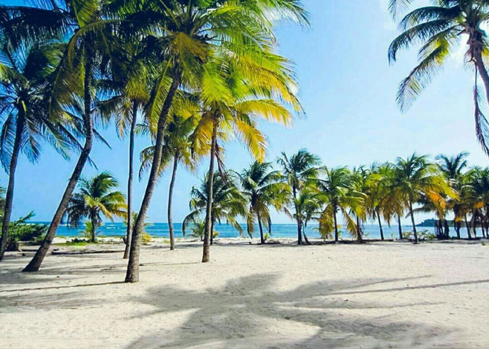 Famiglia Bouillante 184537