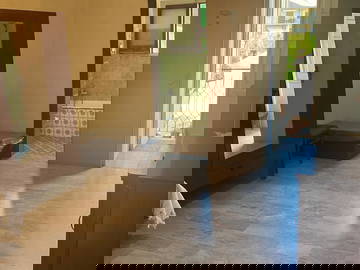 Chambre Chez L'habitant Pizzoni 538147-12