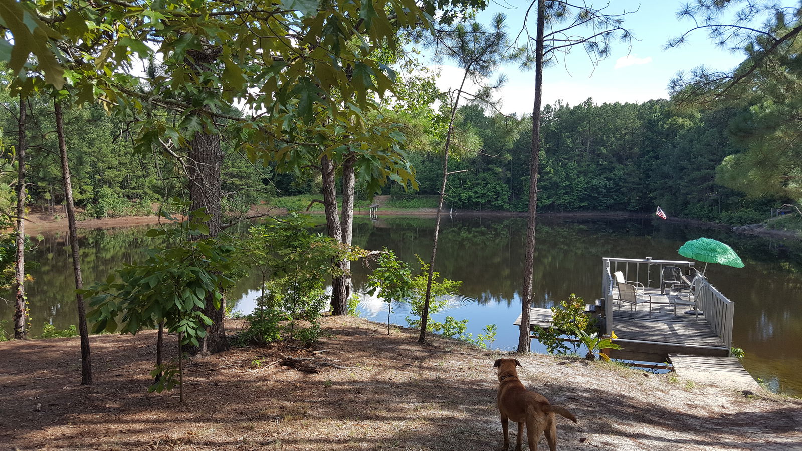 Famiglia Fort Valley 149072