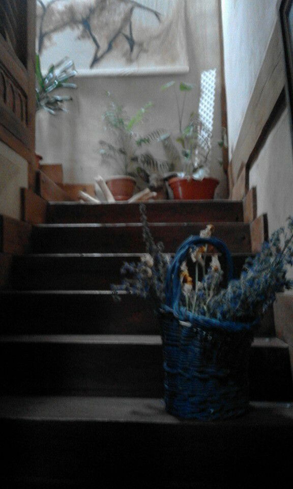 Tutta La Casa Martincano 138080