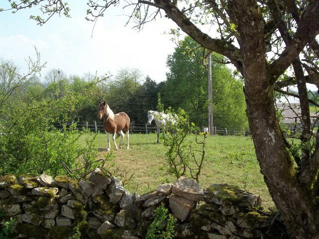 Tutta La Casa Le Fied 49793