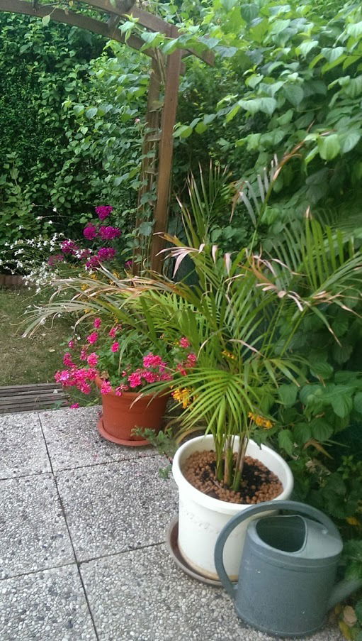 Gastfamilie Combs-la-Ville 222518