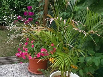 Chambre Chez L'habitant Combs-La-Ville 222518-12