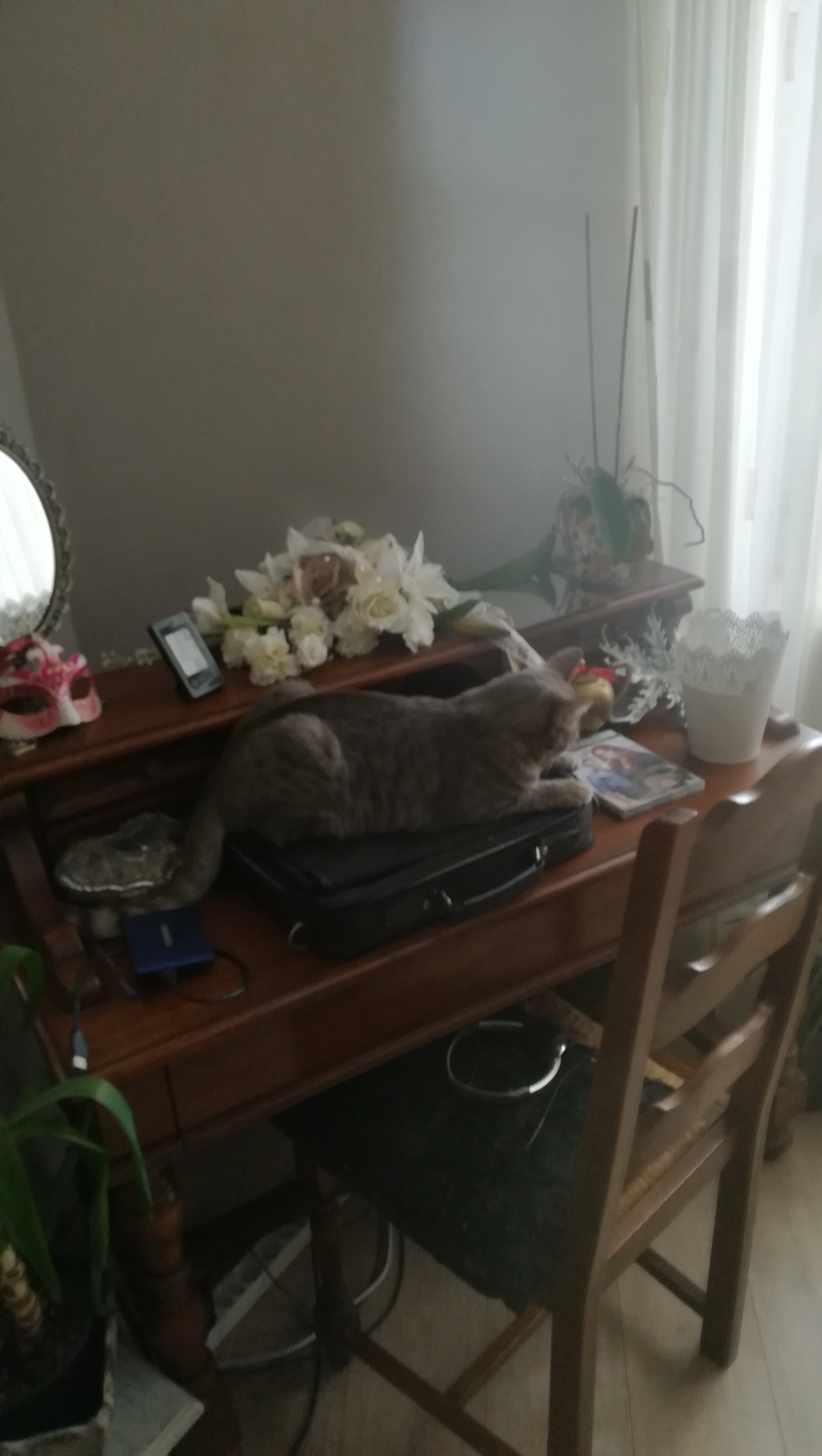 Gastenkamers Folkling 60526