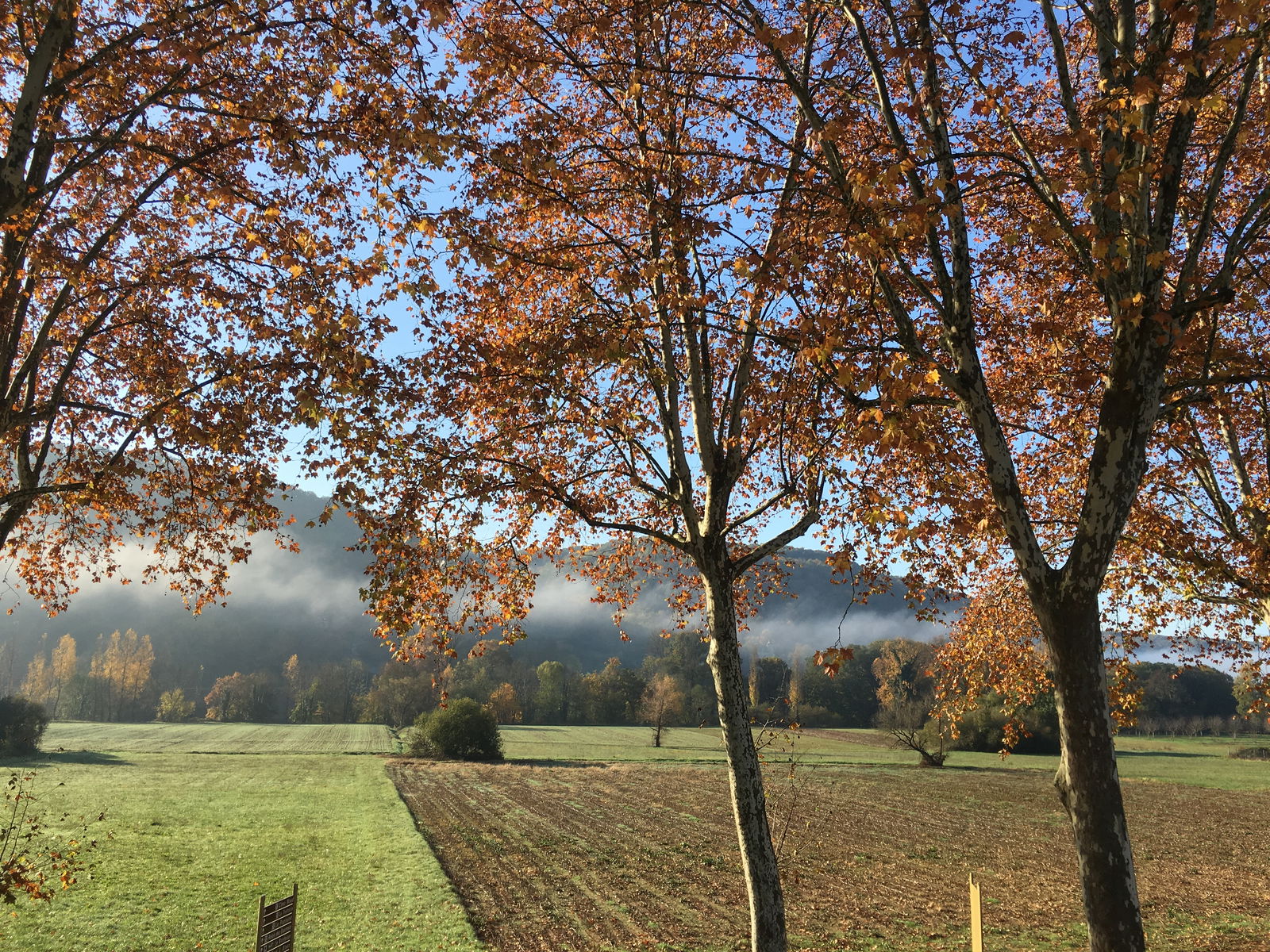 Gastfamilie Terrasson-Lavilledieu 222656