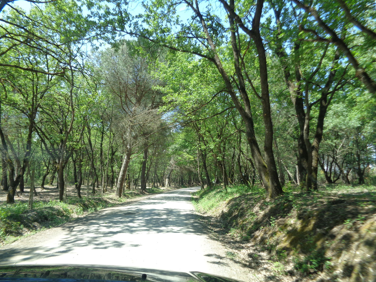 Unabhängiges Studio Agazzi 230423