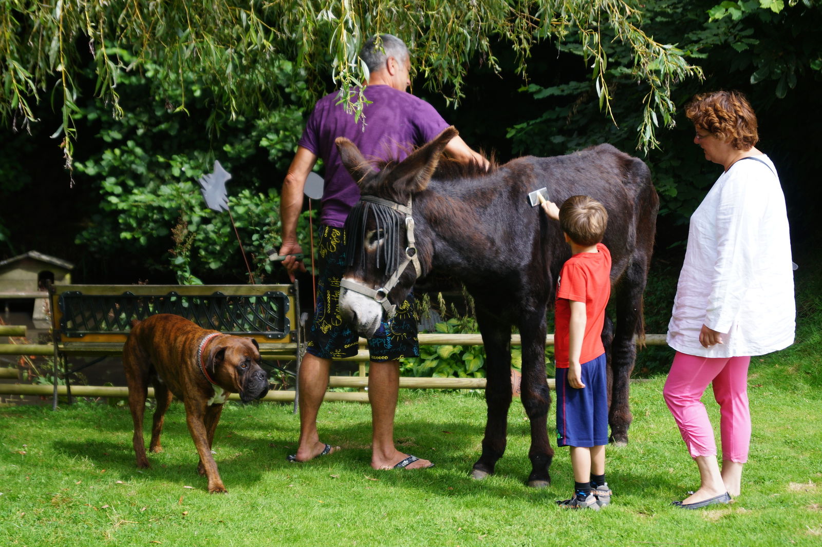 Estudio Independiente Criquetot-l'Esneval 65135