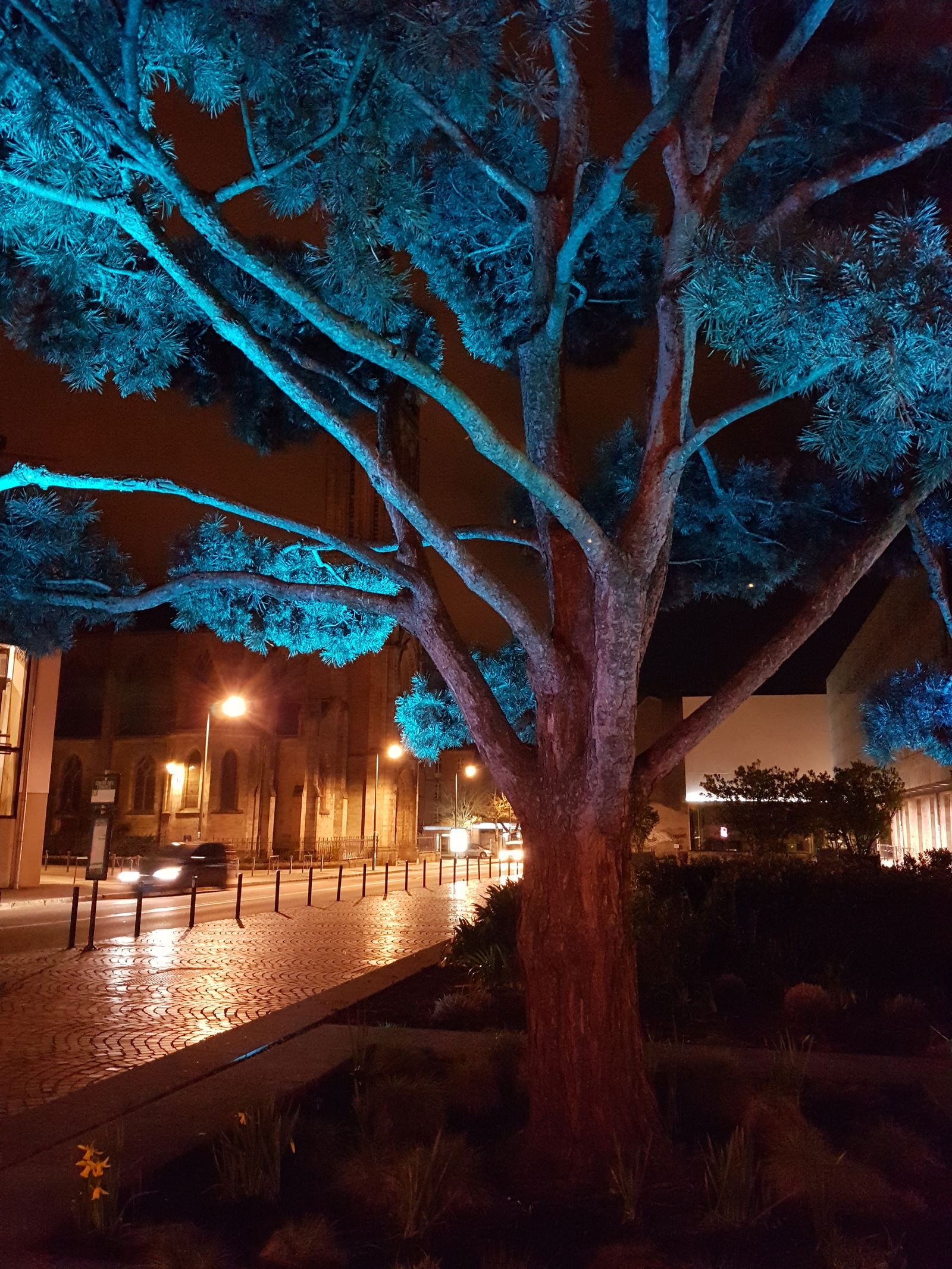 Quedarse En Casa Quimper 263168