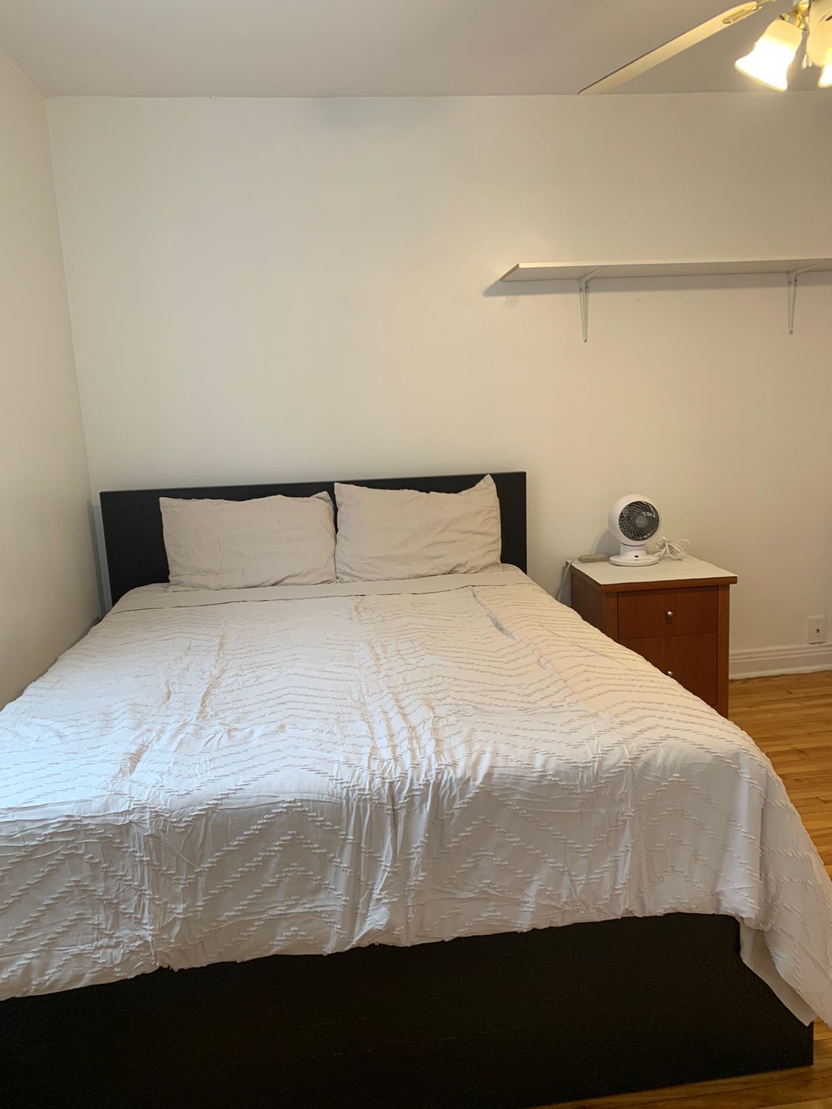 Colocación Montréal 665600