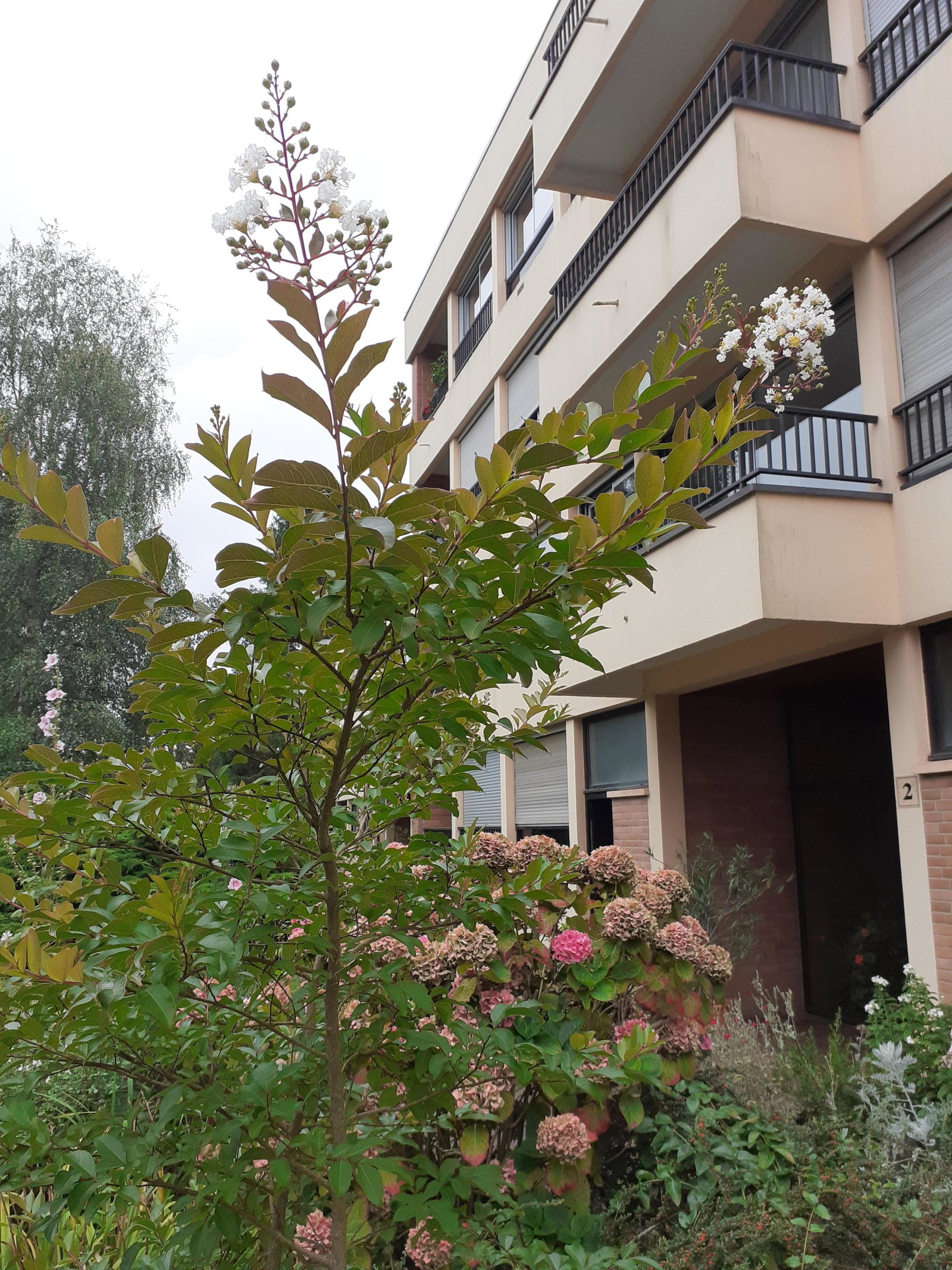 Homestay Bois-Guillaume 507946