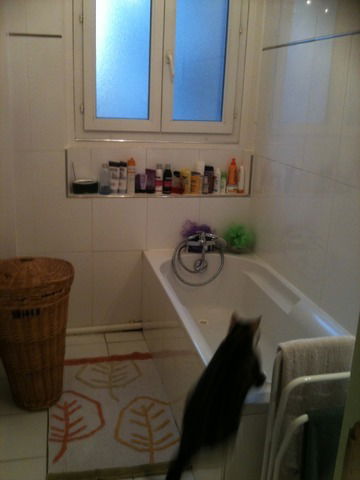 Homestay Paris 14742