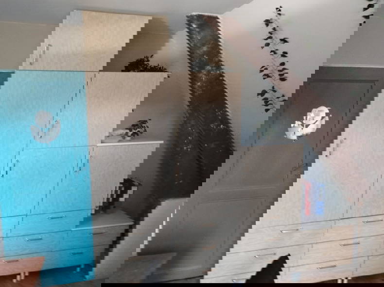 Homestay Wavre 555463-4