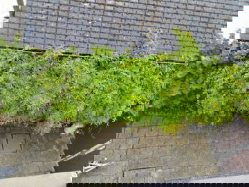 Chambre Chez L'habitant Wavre 555463-9