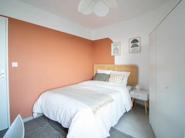 Chambre À Louer Villeurbanne 261749