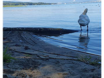 Studio Zu Vermieten Cheyres-Châbles 579448-2