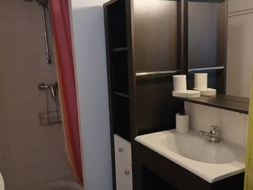 Logement entier à louer à Vichy - photo 4 : salle de bain-4