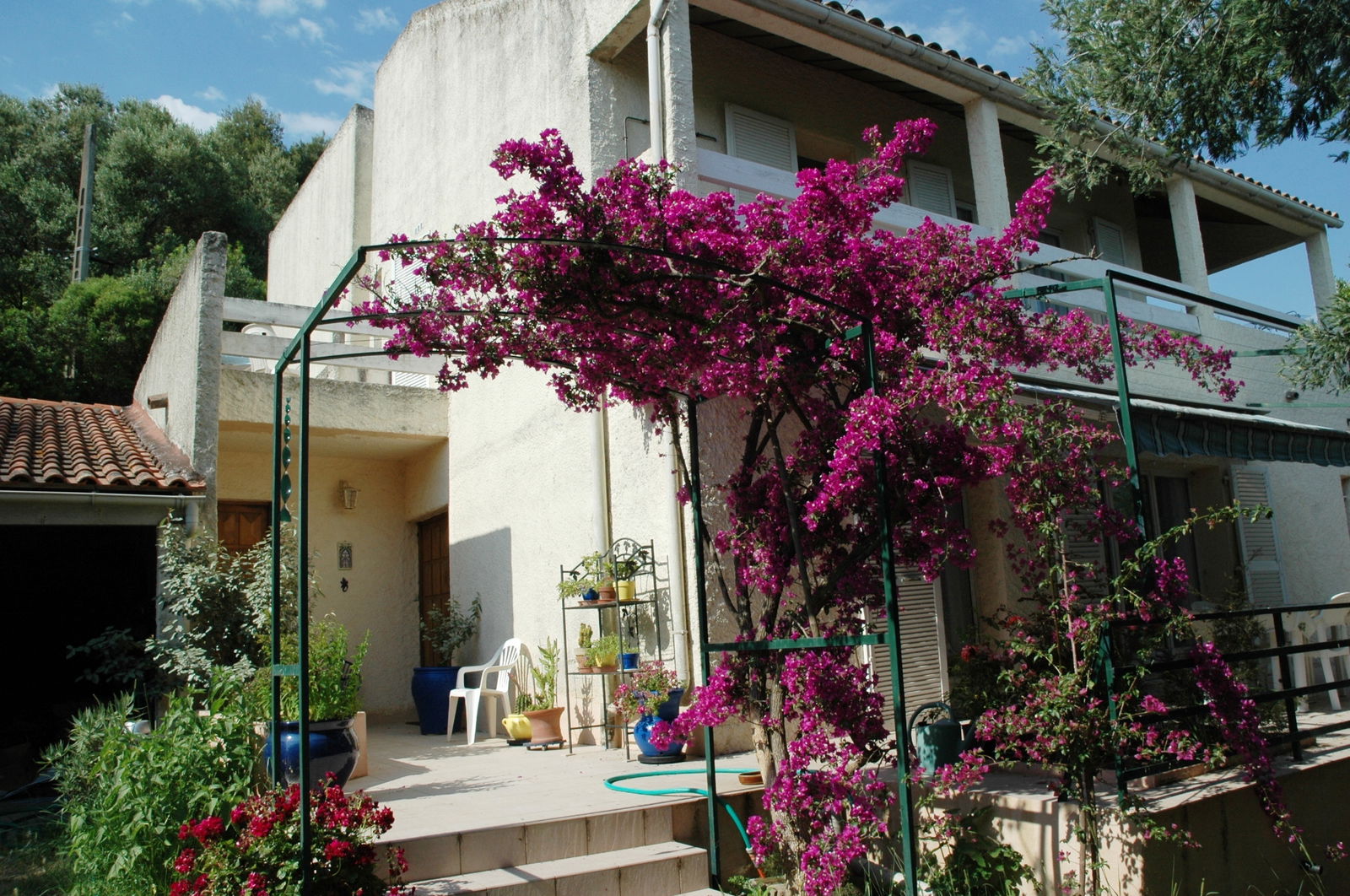 Tutta La Casa Alata 163824