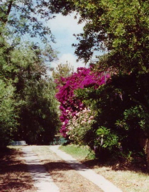 Tutta La Casa Alata 163824