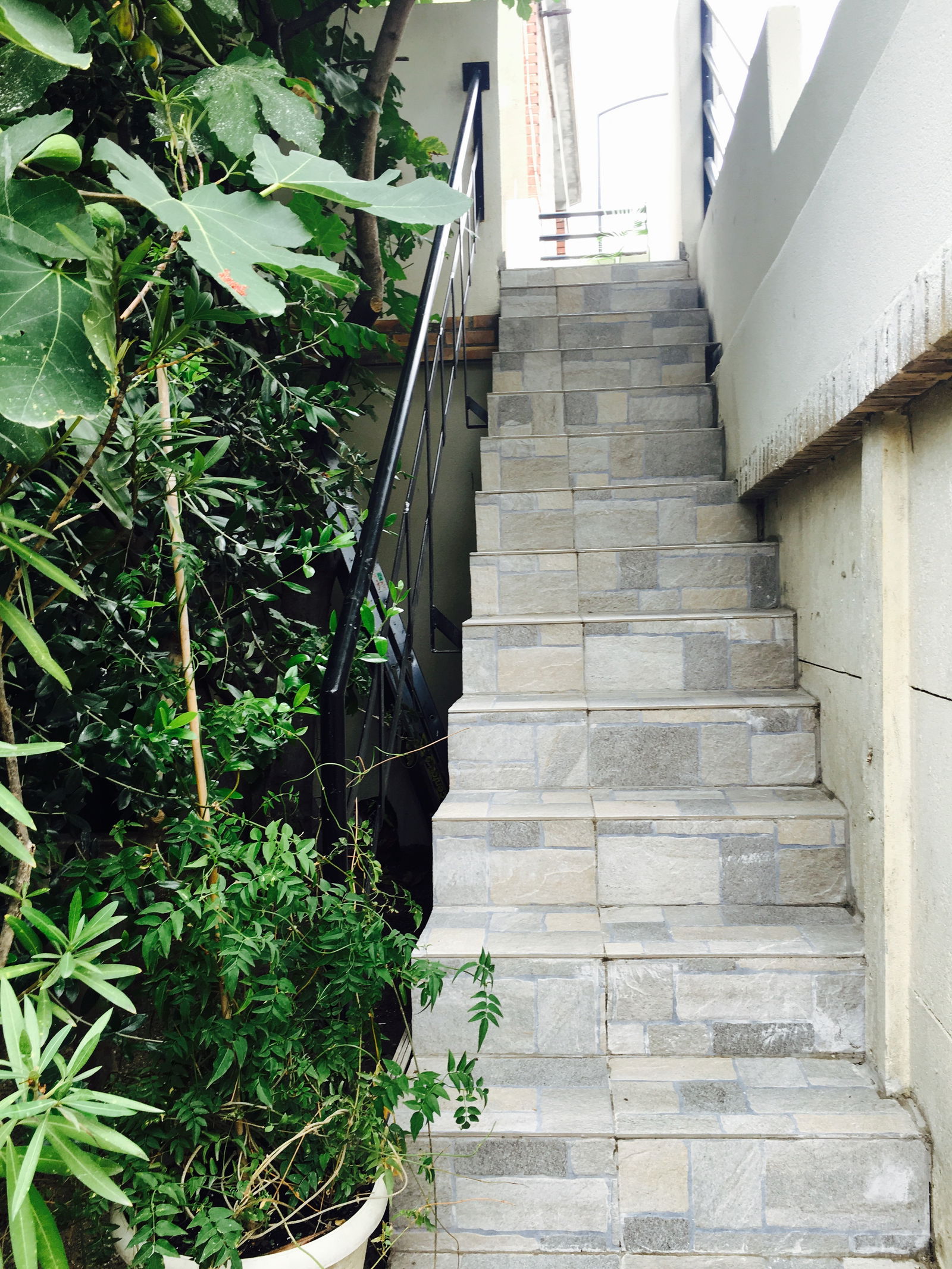 Tutta La Casa Alfortville 148172