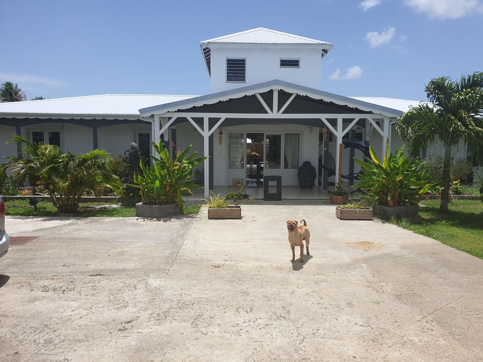 Homestay Bragelogne 231307