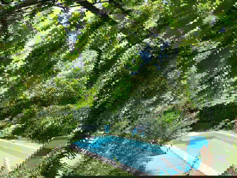 Logement Entier Morières-lès-Avignon 268324-2