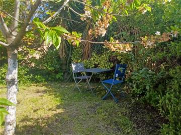 Habitación En Alquiler Six-Fours-Les-Plages 386639-1