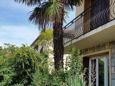 Homestay Tournefeuille 239809